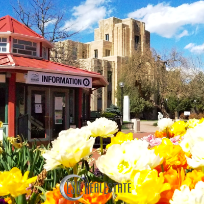 Boulder Colorado Downtown neighborhood flowers